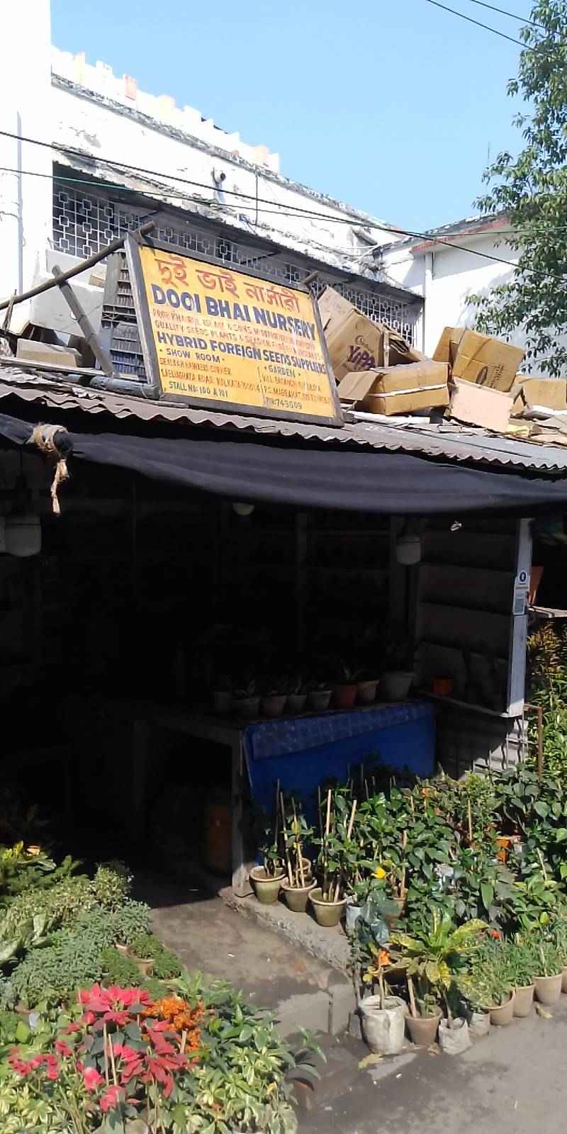 Merchant Business Image